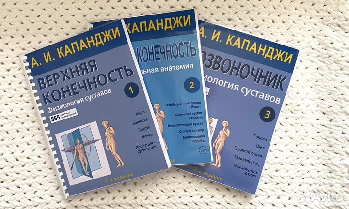 Функциональная анатомия Физиология суставов (3шт)