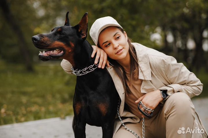 Аренда добермана