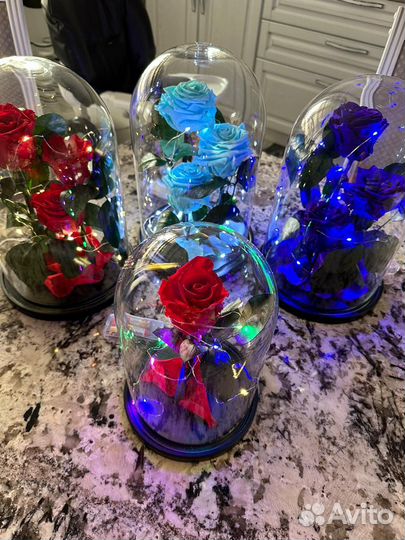 Роза в колбе