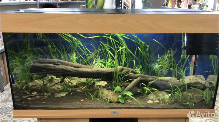 Обслуживание аквариумов