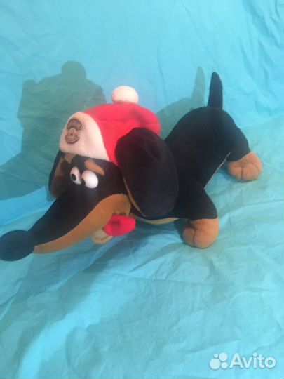 Собака такса