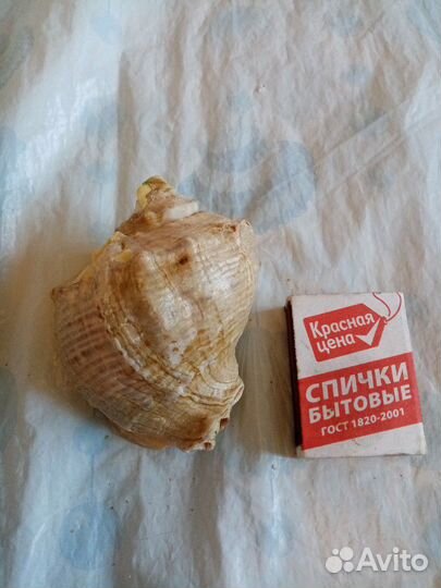 Сачки, большие и аксессуары для аквариума