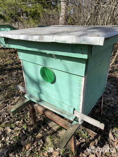 Ульи для пчел с магазинами бу