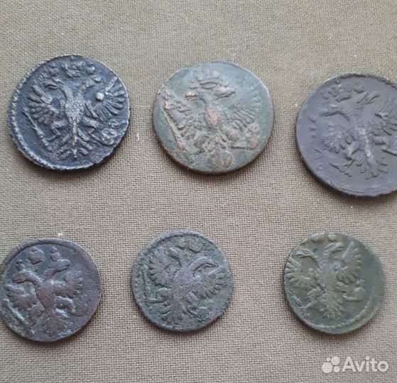 Полушка, денга 18в