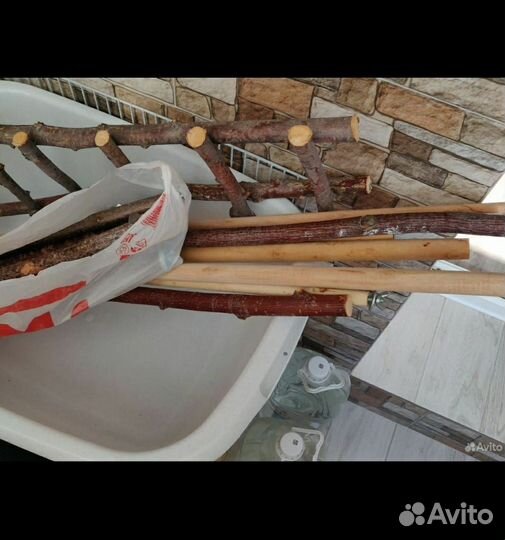 Палки для попугая