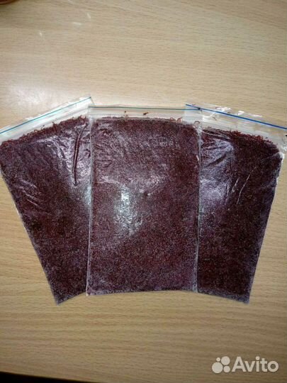 Мотыль Мелкий и Крупный, Артемия, Коретра