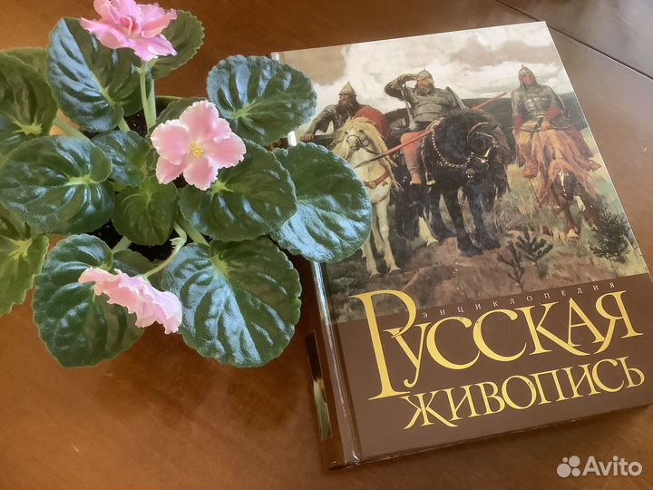 Энциклопедия книга 