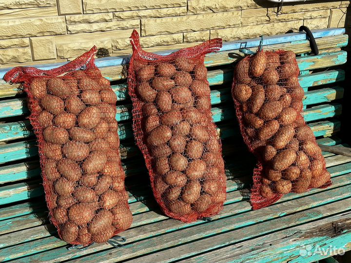 Продам картофель домашний