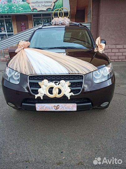 Катаем свадьбу