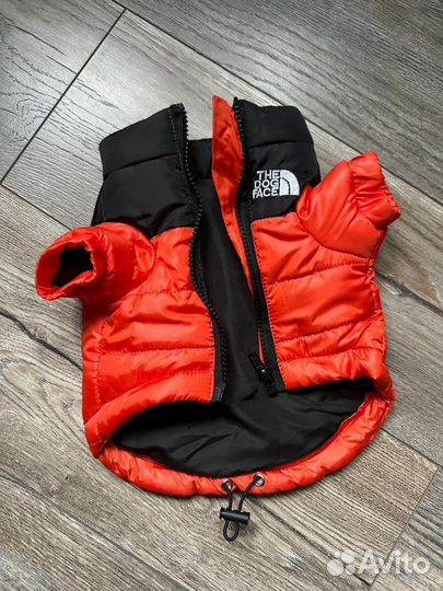 Одежда для маленьких собак