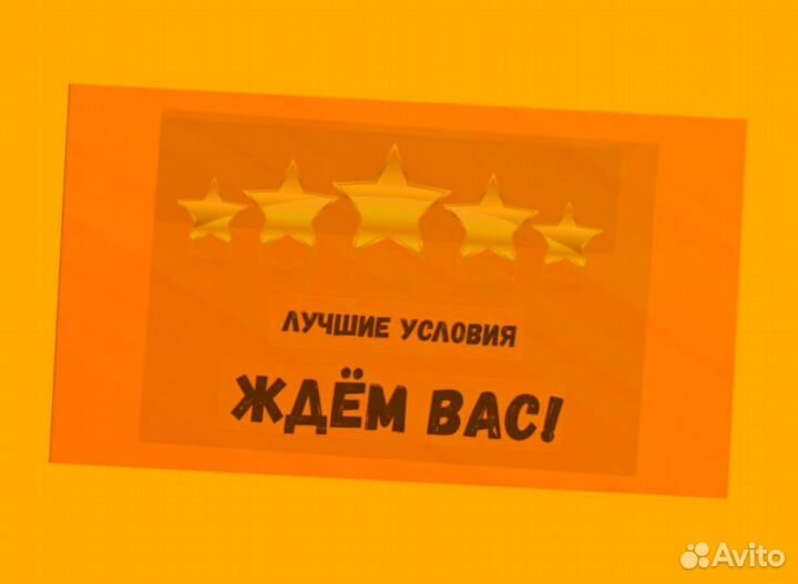 Наборщик заказов Без опыта Еженедельные выплаты