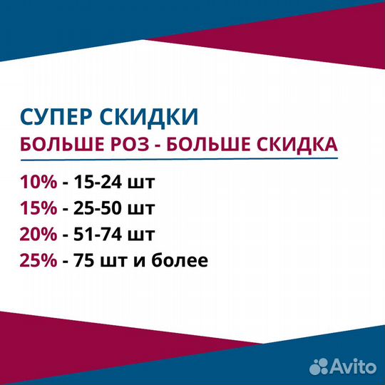 Букет разноцветных роз, Кения, 50см 37 шт