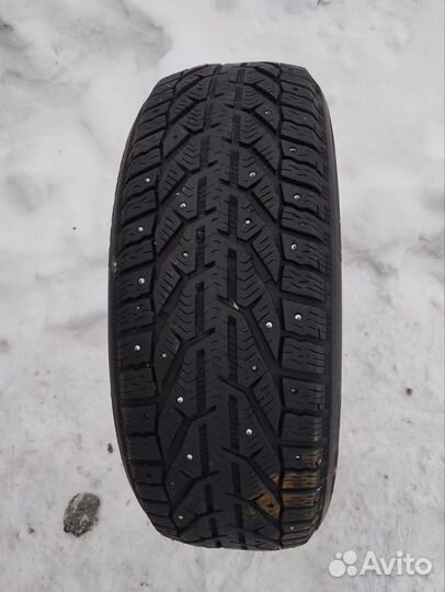 Tigar Ice 205/55 R16