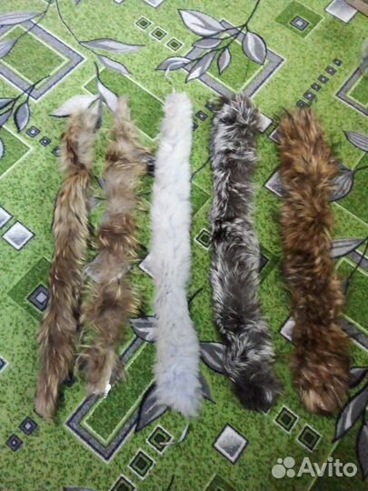 Шкурка животного