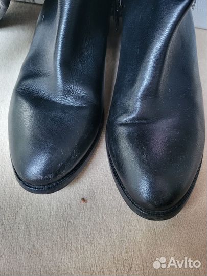 Сапоги женские демисезонные