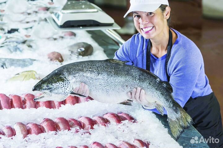 Продавец рыбной зоны с еженедельными выплатами