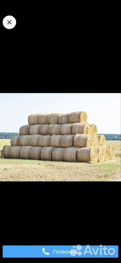 Продам сено в рулонах