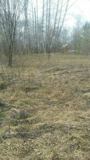 Участок 6 сот. (СНТ, ДНП)