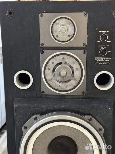 Колонки Электроника 100ас-060