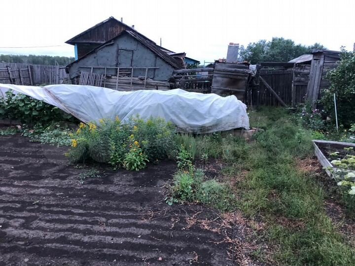 Дом 60 м² на участке 50 сот.