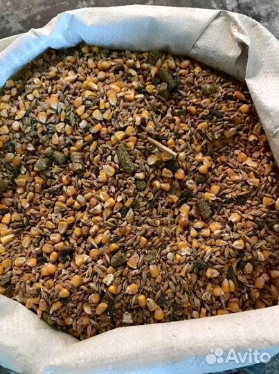 Корма для животных, зерно