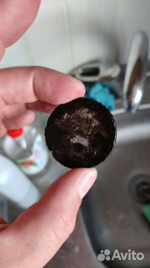 Монеты Петра 1 1721 год серебро оригинал