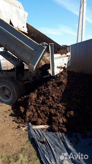 Навоз крупного рогатого скота