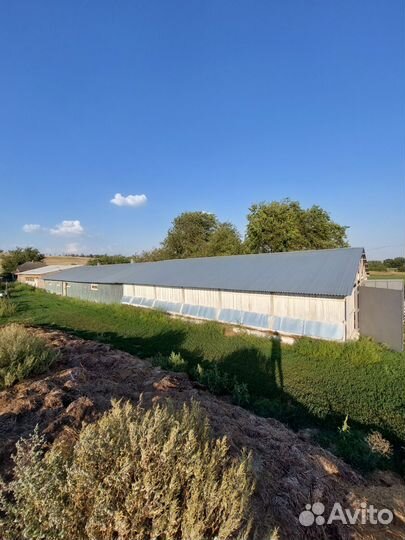 Готовый бизнес. Животноводческая ферма