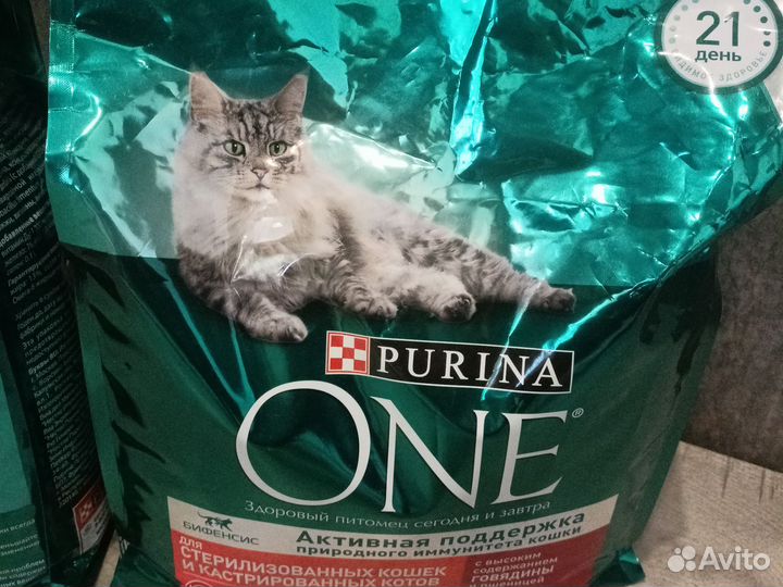 Сухой корм для кошек