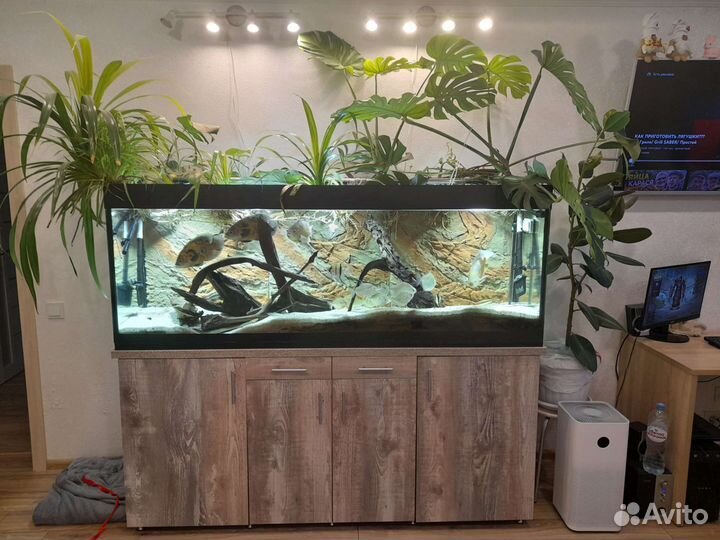 Аквариум 500 литров