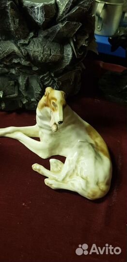 Собака борзая