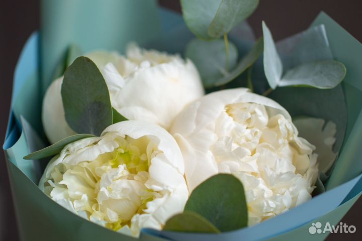 Букет из 3 пионов с эвкалиптом
