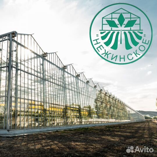 Биолаборант
