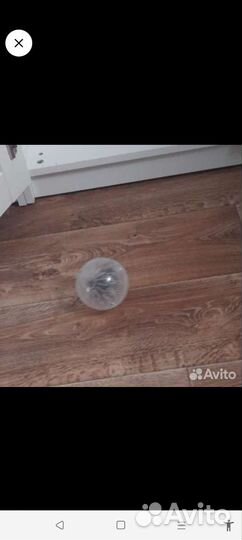 Клетки с джунгариками