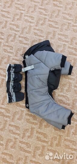 Зимний комбинезон для собаки