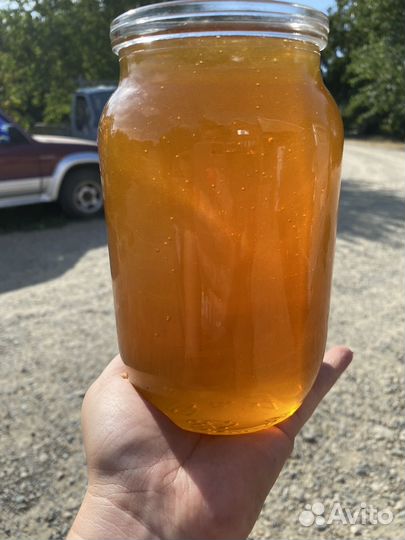 Липовый мед 2024, липа