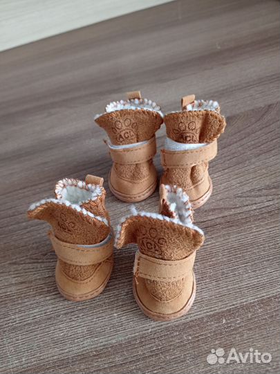 Новая, тёплая обувь для собак