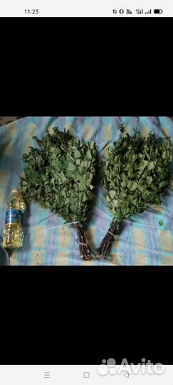 Веники для бани. Березовые, пихтовые