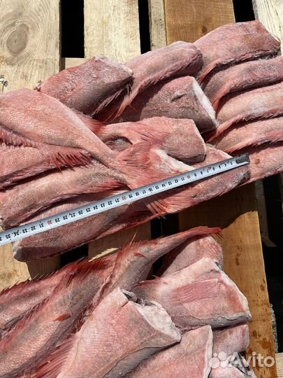 Окунь морской 150-300 и 300-500