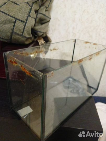 Аквариум 6 литров