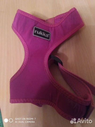 Одежда для маленьких собак