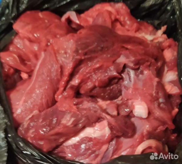 Обрезь мясная и мясо для животных