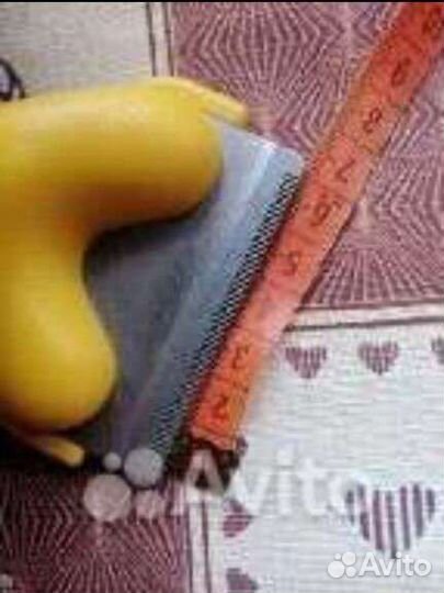 Одежда и аксессуары для собак