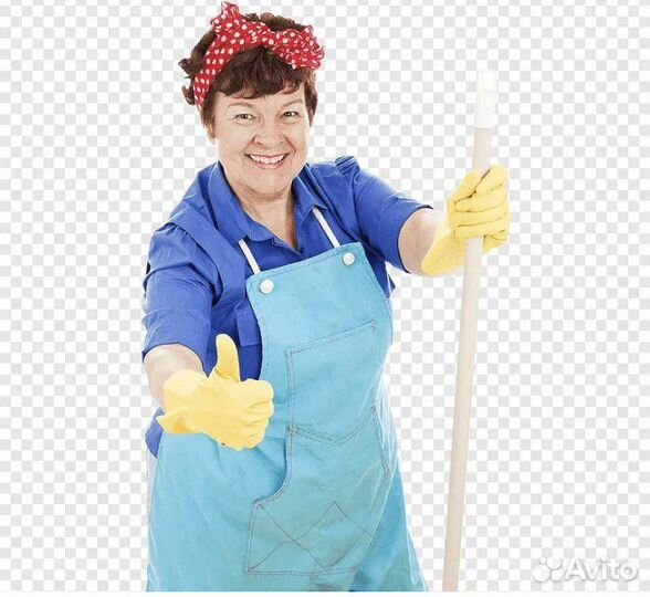 Мастер чистоты