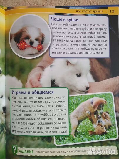 Энциклопедия для детей Собаки