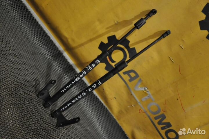 Амортизатор двери багажника BMW 1 series E87