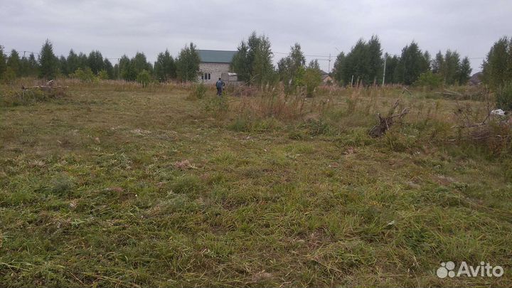 Покос травы триммером