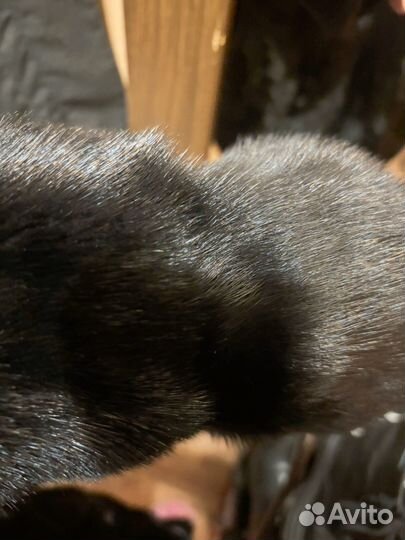 Шуба норковая 42 44 черная с капюшоном