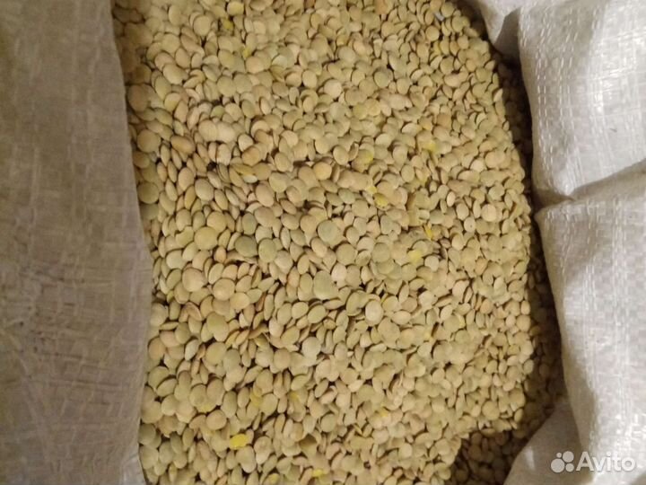 Семена льна, подсолнух, гречка зелёная, нут