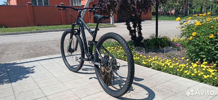 Stark tactic fs 29.5 2022
